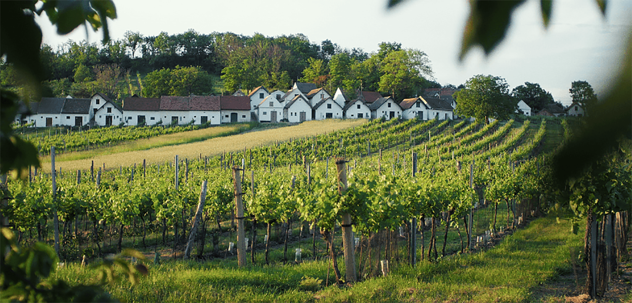 Foto: Weinviertel DAC